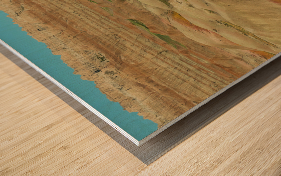 Discover the Vibrant Beauty and Rich Fossils of Badlands Nationa Wood print