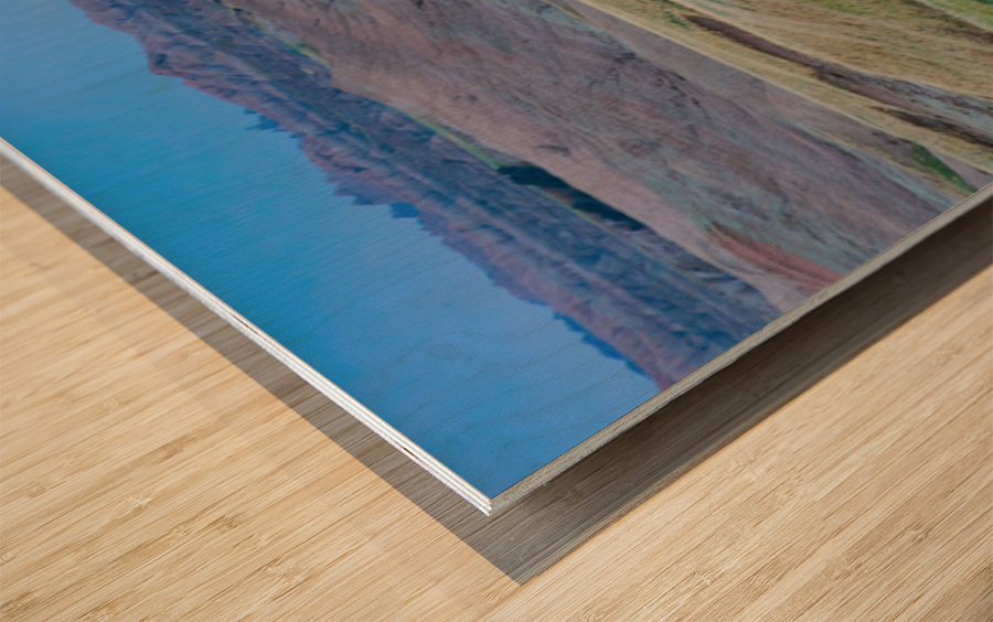 The Majestic Bison -  Roaming the Colorful Badlands of SD Wood print