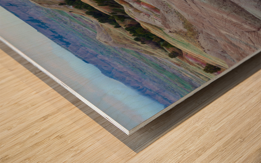 South Dakota Badlands and Colorful Morning Grasslands Wood print