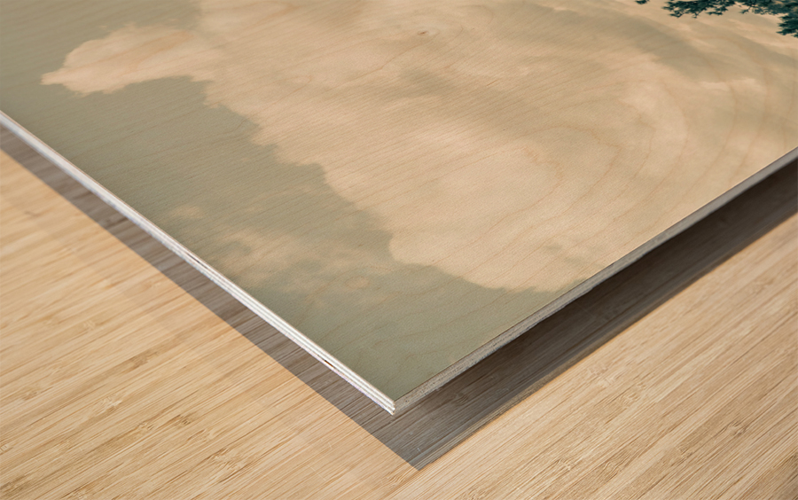 Devils Tower also called Grizzly Bear Lodge Wood print