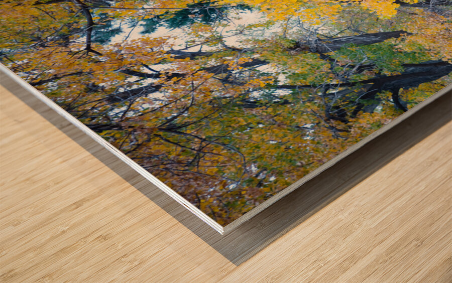 Autumns Harvest Market - A Portrait of Country Charm Wood print