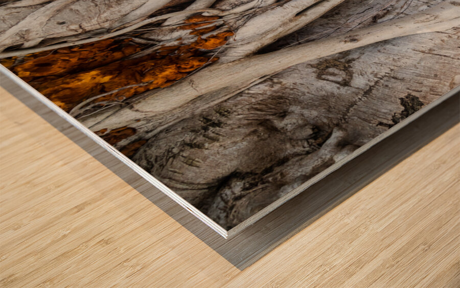 Magnificent and Colossal Intertwined Tree Wood print