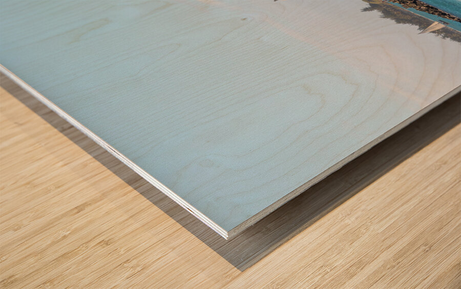 Coastal Beauty of San Juan Puerto Rico Wood print