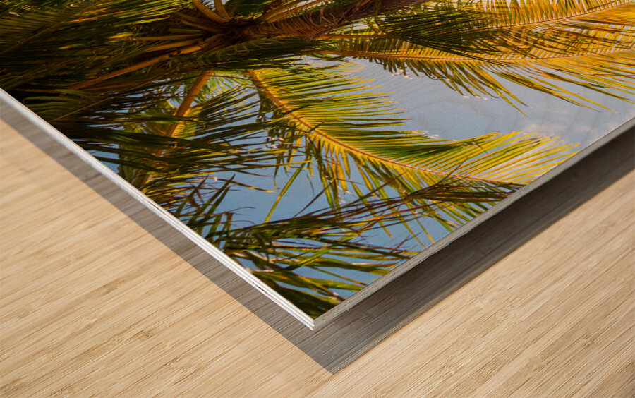 Reminiscent of a Tropical Paradise Wood print