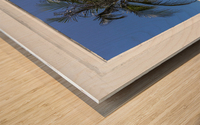Palm Tree Tropical Window View Wood print