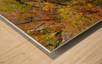 Autumns Country Retreat - A Canopy of Color Wood print