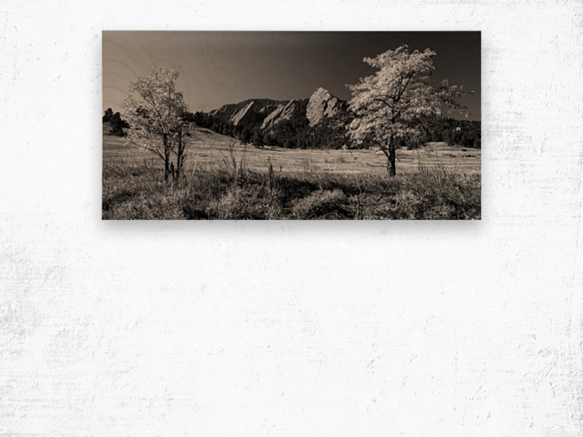 Boulder Colorado Flatirons Black White Pano Wood print