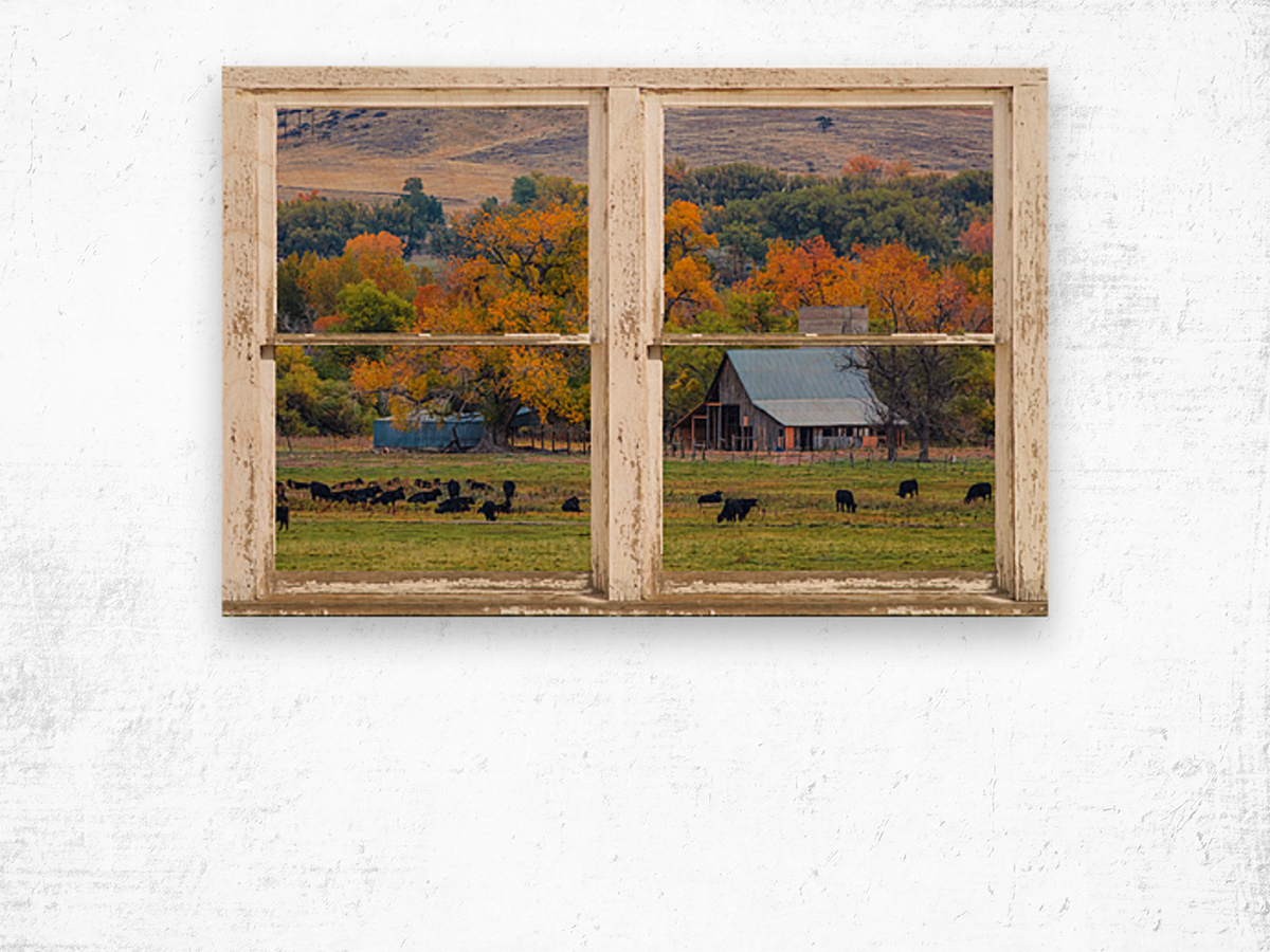Pretty Colorful Country Rustic Window Frame Wood print