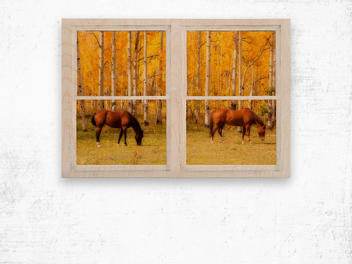 2 Horses Aspen Trees Whitewash Picture Window Wood print