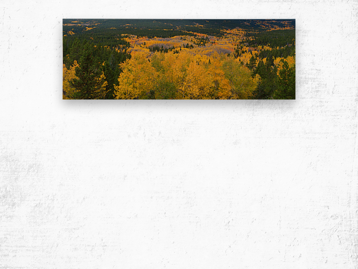 Colorado Autumn Panorama colorful Wood print