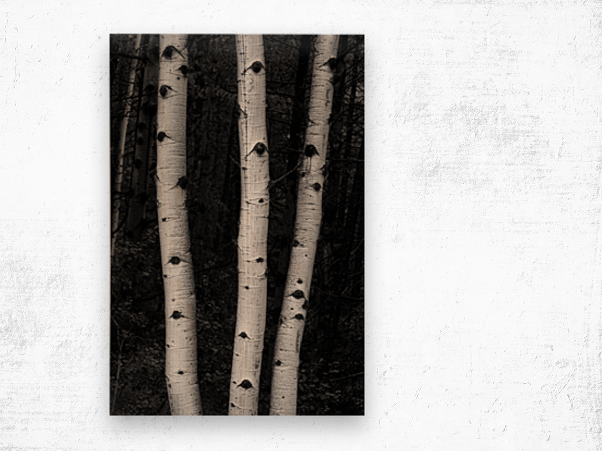 Coming Out Of Darkness Wood print
