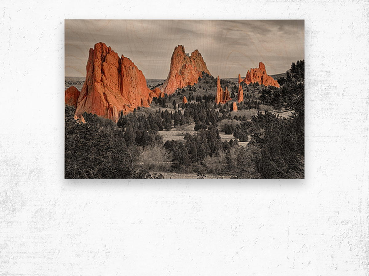 Garden of the Gods with Selective Color Wood print