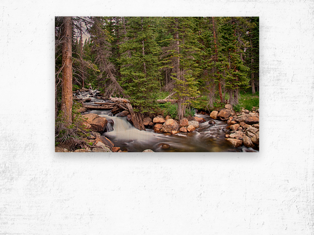 Colorado Rocky Mountain Forest Stream Wood print