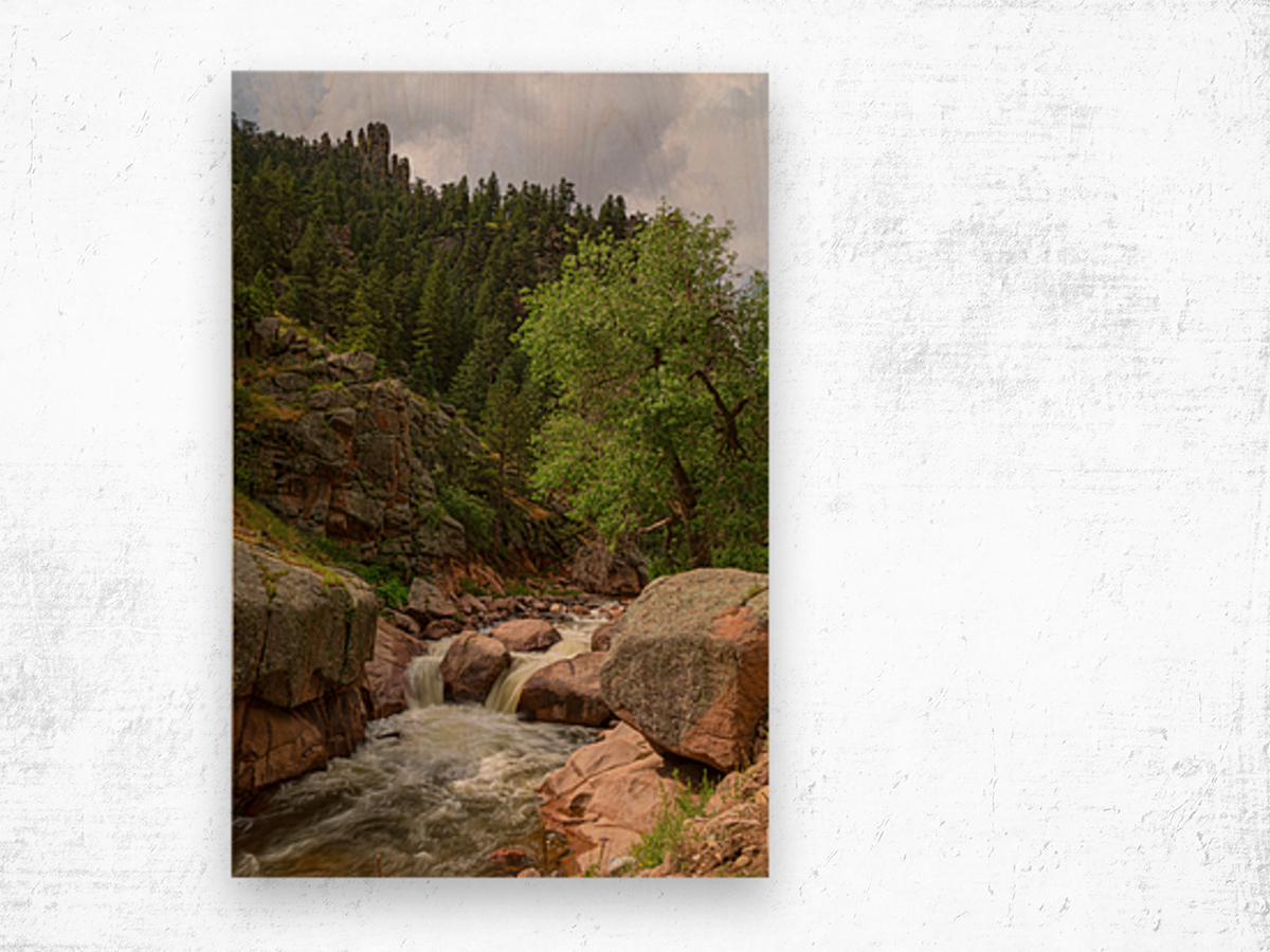 Getting Lost In A Canyon Creek Wood print