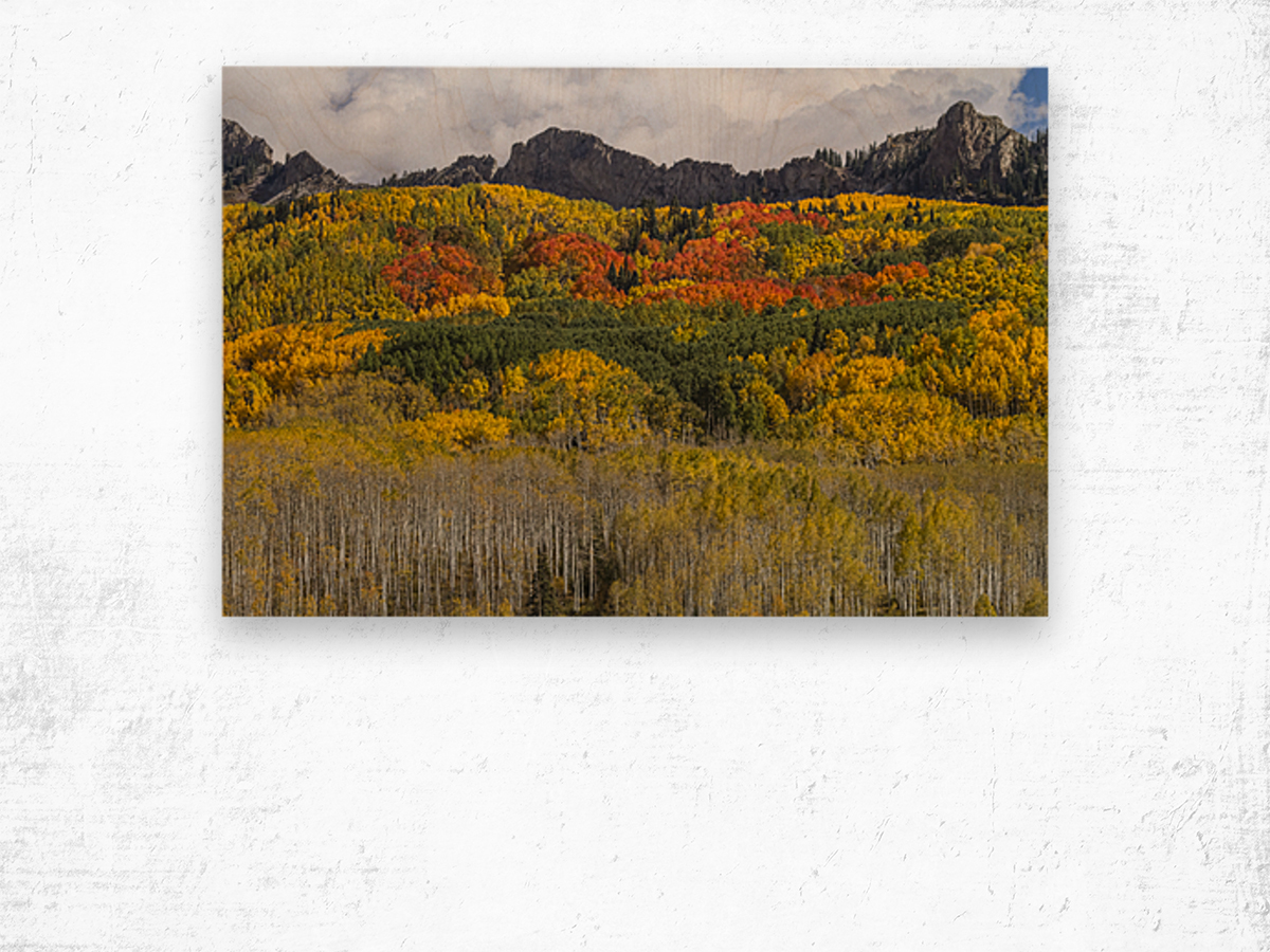 Colorado Kebler Pass Fall Foliage Impression sur bois