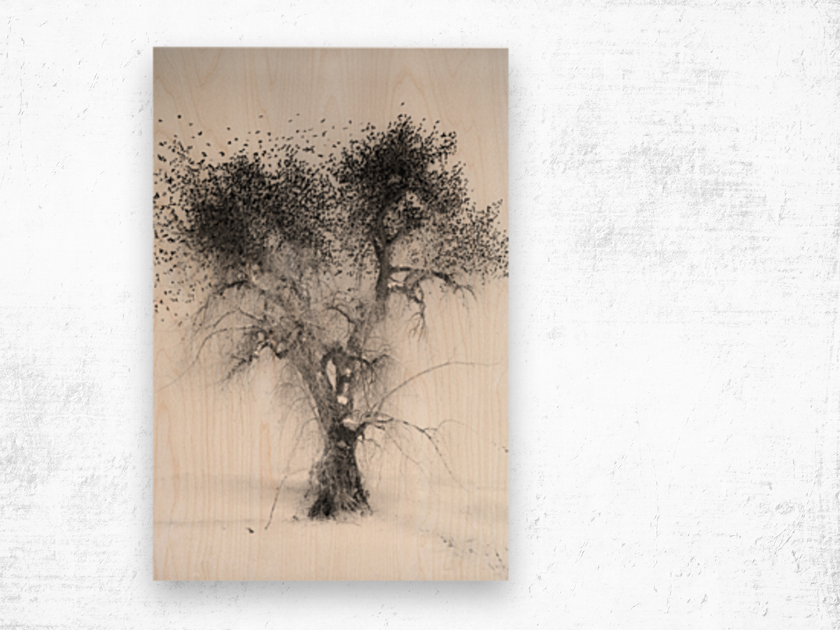 Treefull Impression sur bois