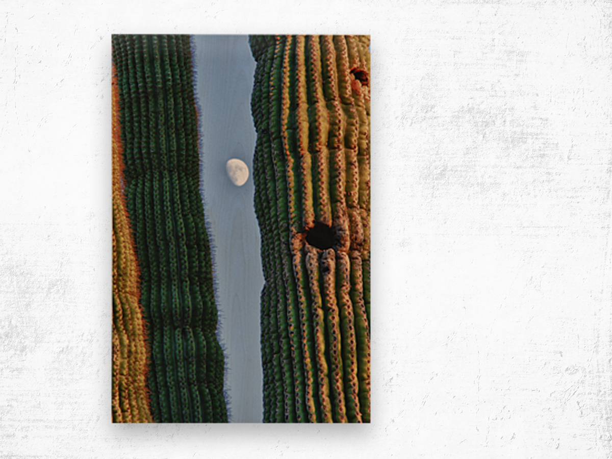  Southwest Saguaro Moon Wood print