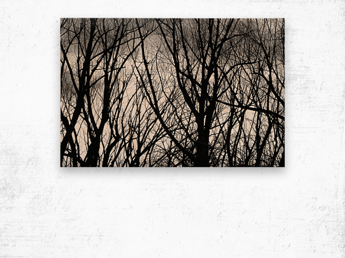 Tree Branches Into The Night Impression sur bois