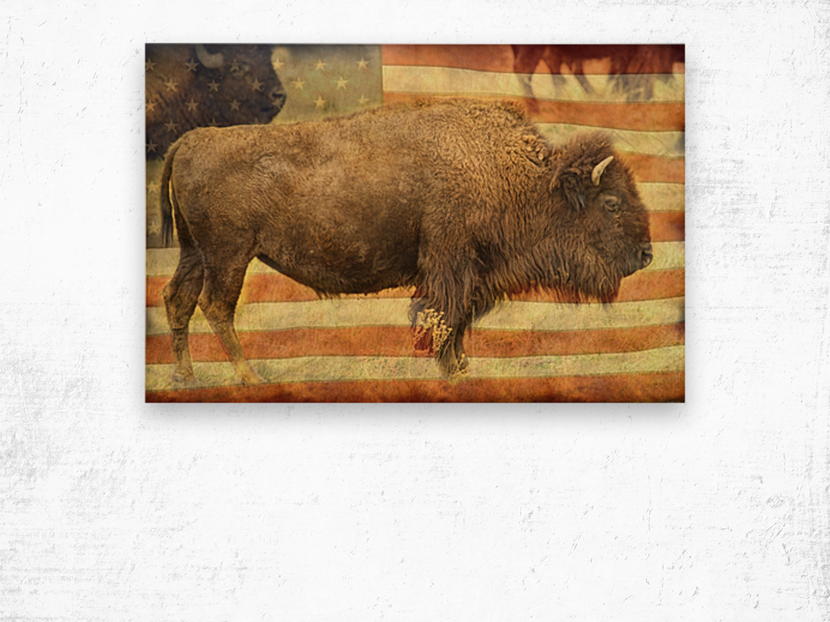 American Buffalo Wood print