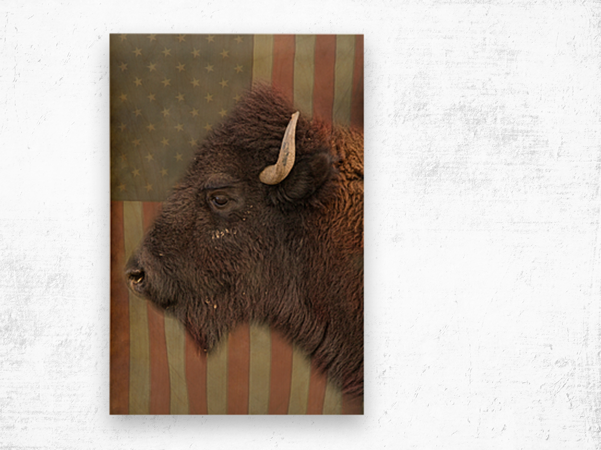 American Bison Profile Wood print