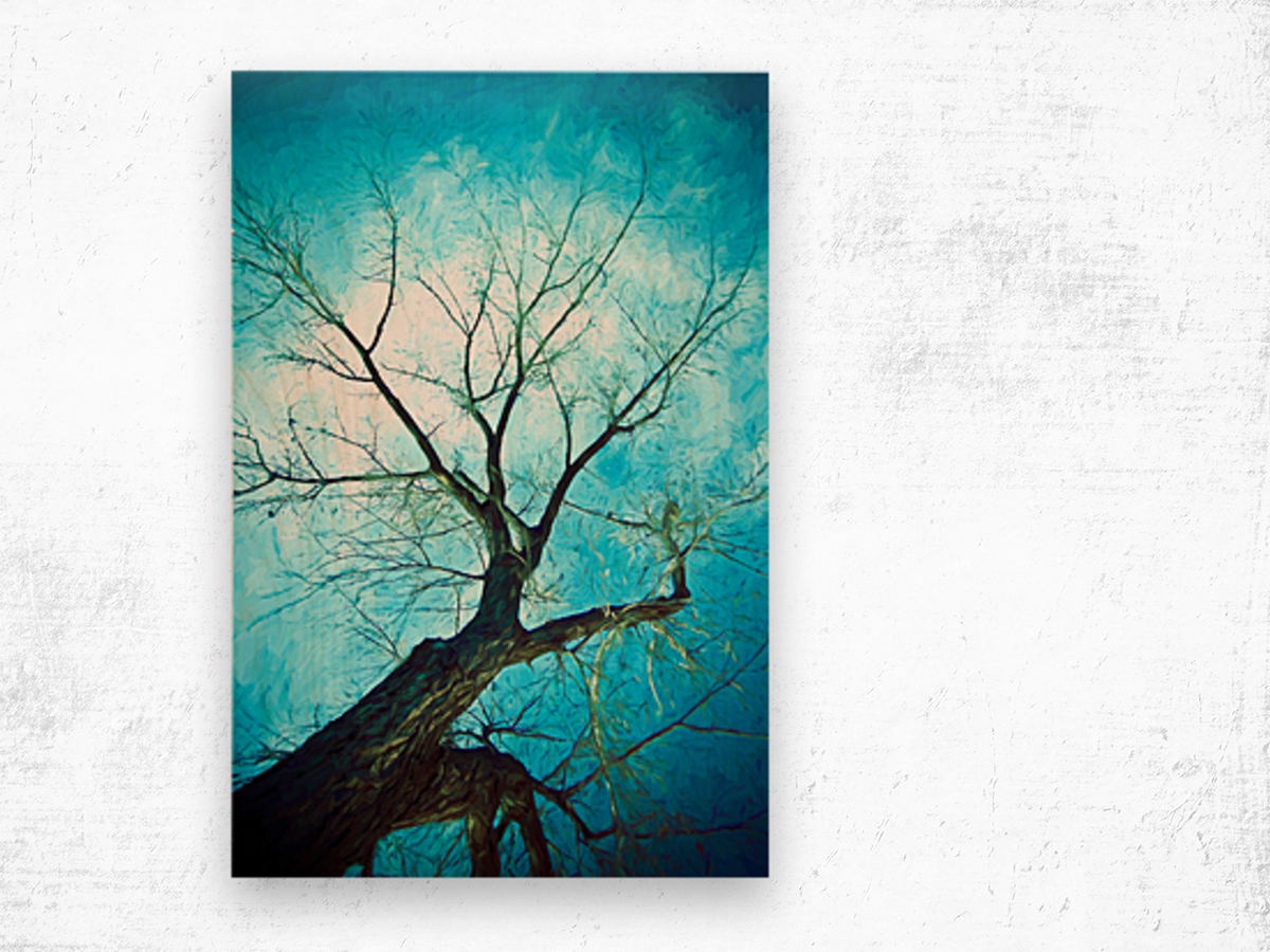 winter tree blue Wood print