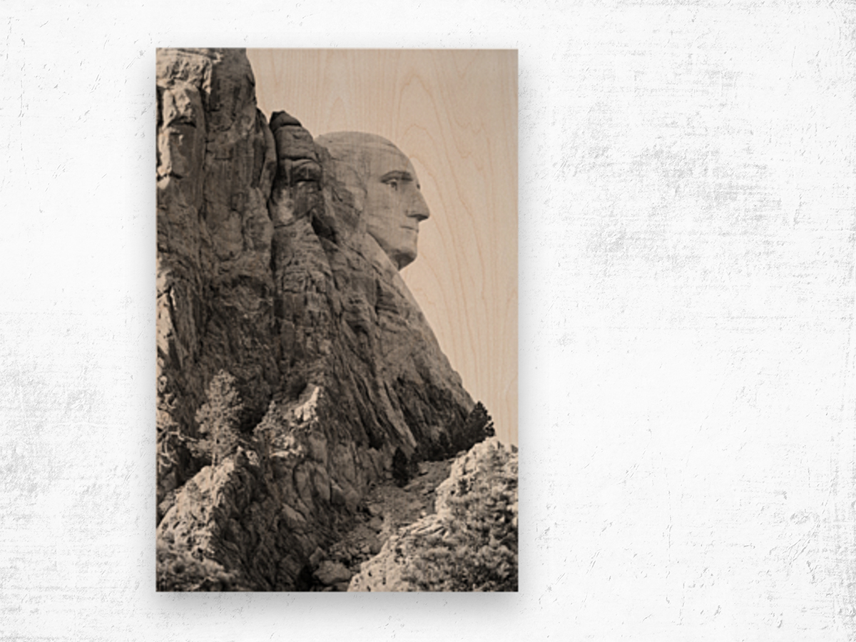 Silent Majesty George Washingtons Profile at Mount Rushmore Wood print