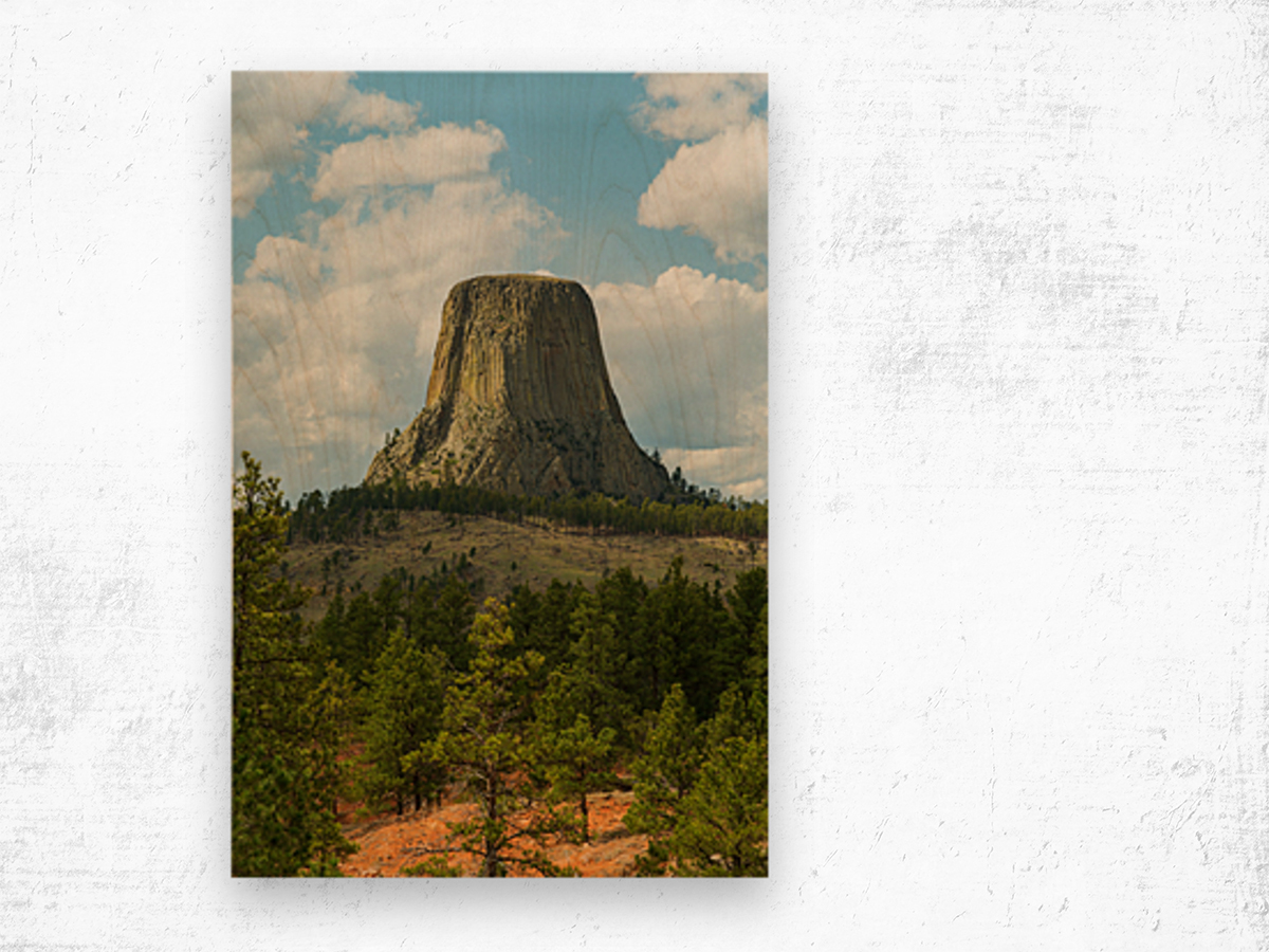 Majestic Devils Tower in Wyoming Surrounded by Pine Forest Wood print